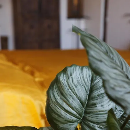 18de-eeuwse Woning In Het Hartje * Gand