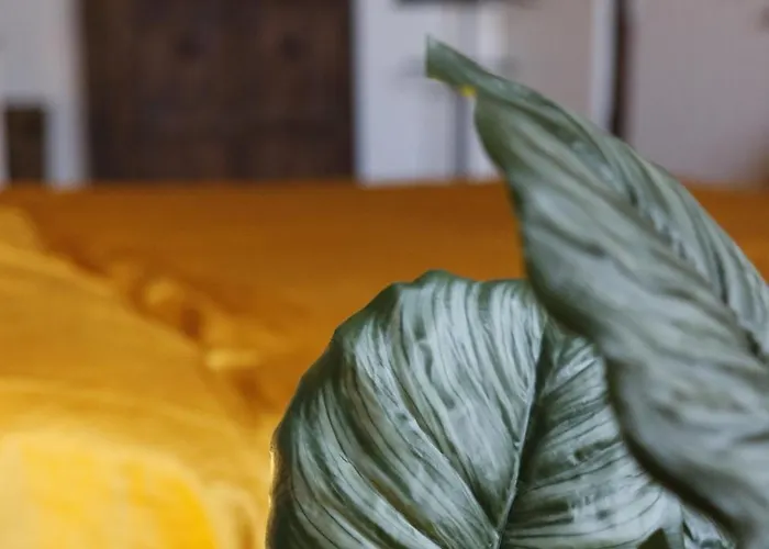 18de-eeuwse Woning In Het Hartje * Гент