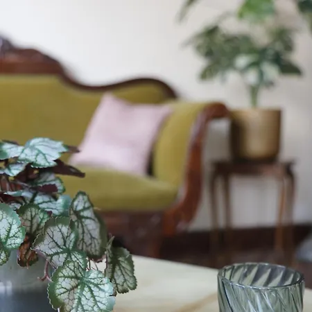 18de-eeuwse Woning In Het Hartje Apartmán Gent